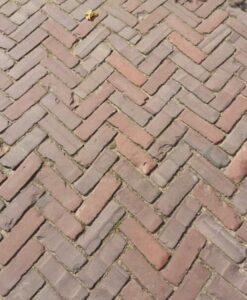 Dikformaat rood-paars